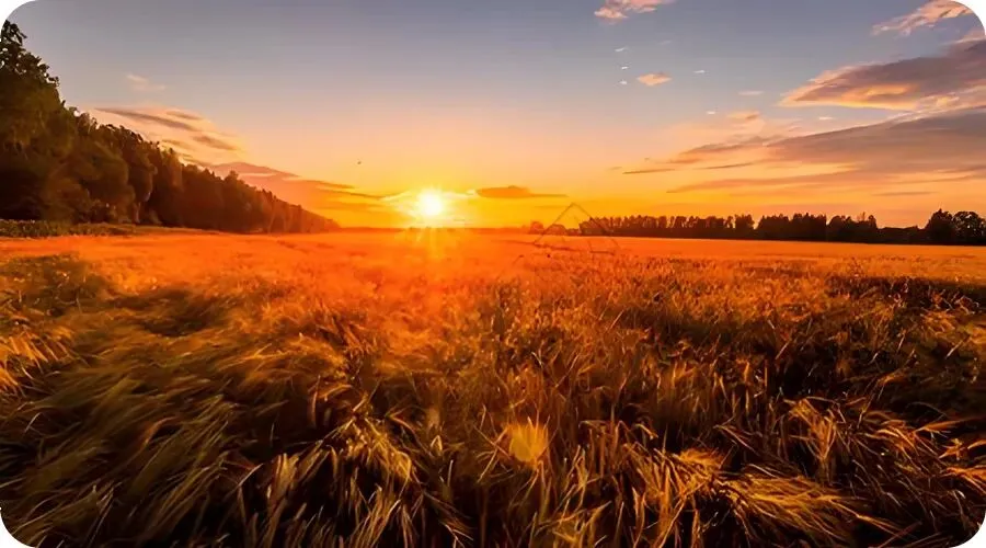 童声歌曲《太阳出来红艳艳》