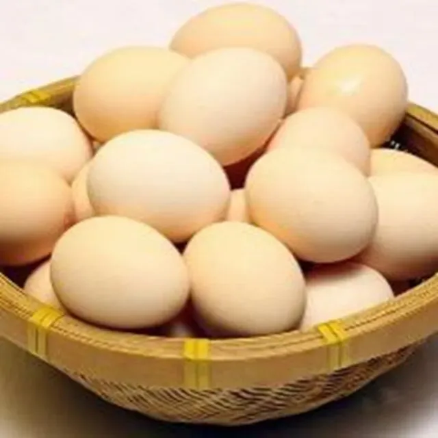 头条丨蛋香里的岁月长歌丨田隆