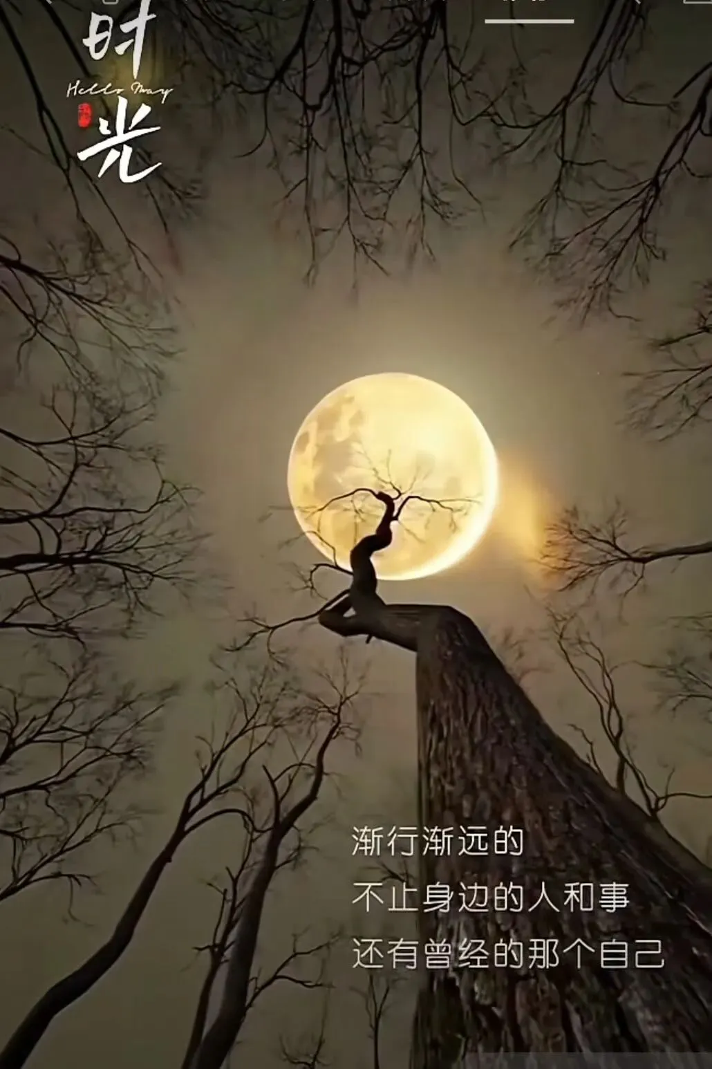 一首歌,一回头已是半生