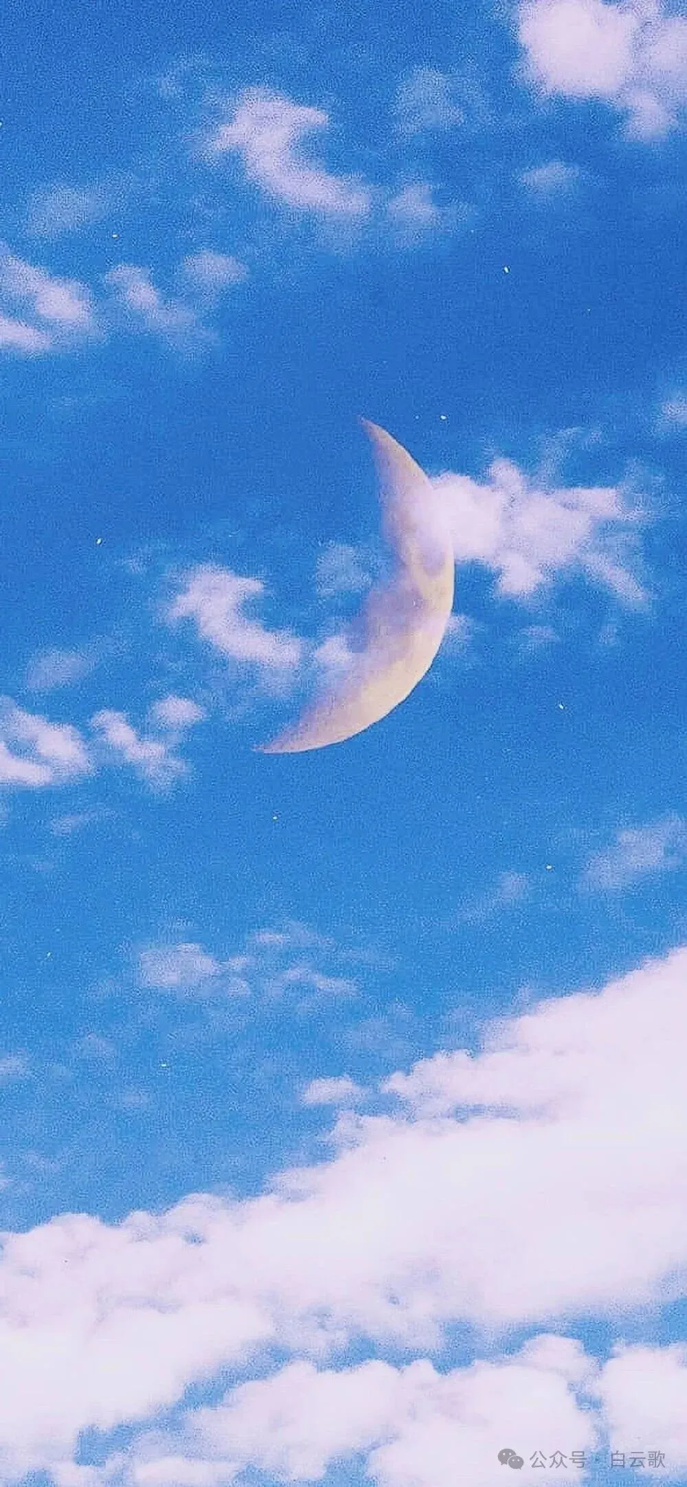 《白云歌》诗刊创刊号