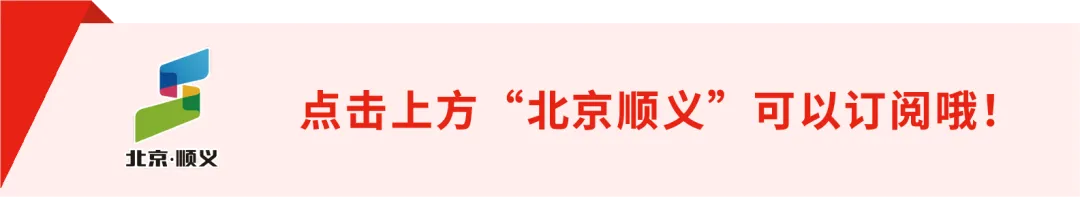 为她而歌:春风里,每一朵花都有自己的芬芳