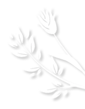 芳华映巾帼 共谱时代歌