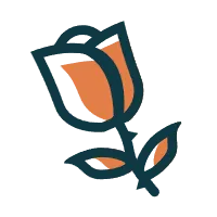 歌曲分享:《风雨彩虹铿锵玫瑰》,三八妇女节快乐