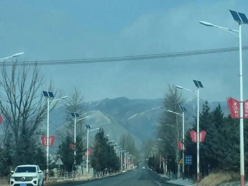 每日歌曲——《 让泪化作相思雨》