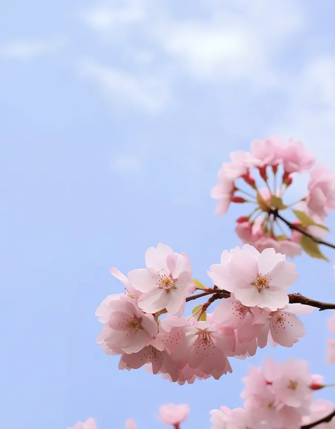 春天歌曲!春天图片!朱自清《春》春天花花/春三月/春天花会开/春暖花开/出发吧春天/维瓦尔第:四季·春/万物可爱/春风十里/花海/光阴的故事