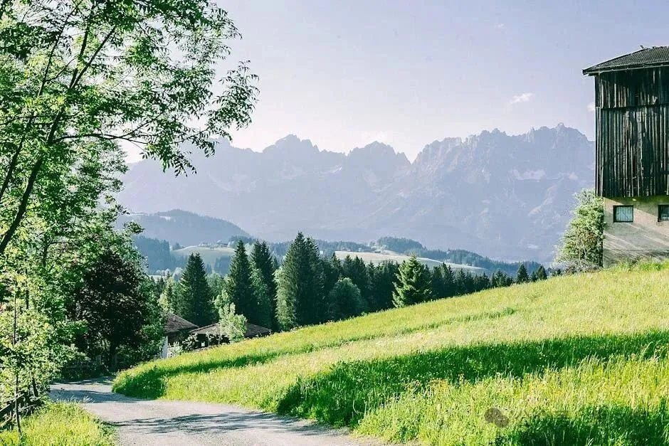 每日一歌:春风别勾我思念-星光音乐屋