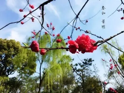 岁月如歌,芳华依旧