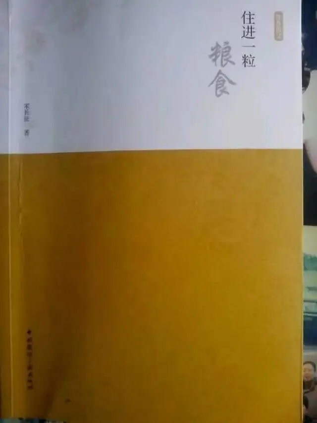 乡村婉约的歌者(评论)| 李曼