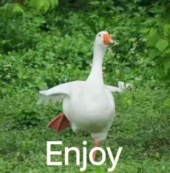 现在00后都喜欢听老歌了吗?