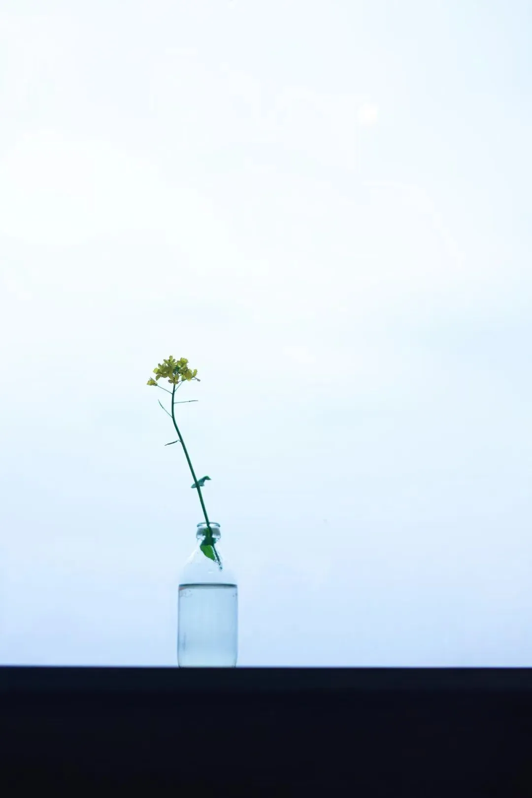 随心所遇原创歌曲《深夜之梦》