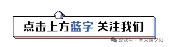 循环一天的一首歌《伤心的雪花》送给你