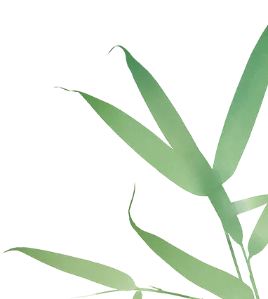 温柔治愈古风歌曲,春满溪山,雪落旧年