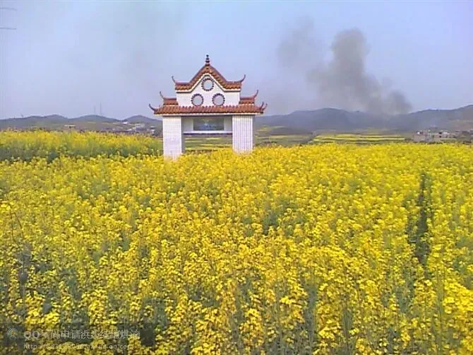 耒阳坪上村歌曲创作手记