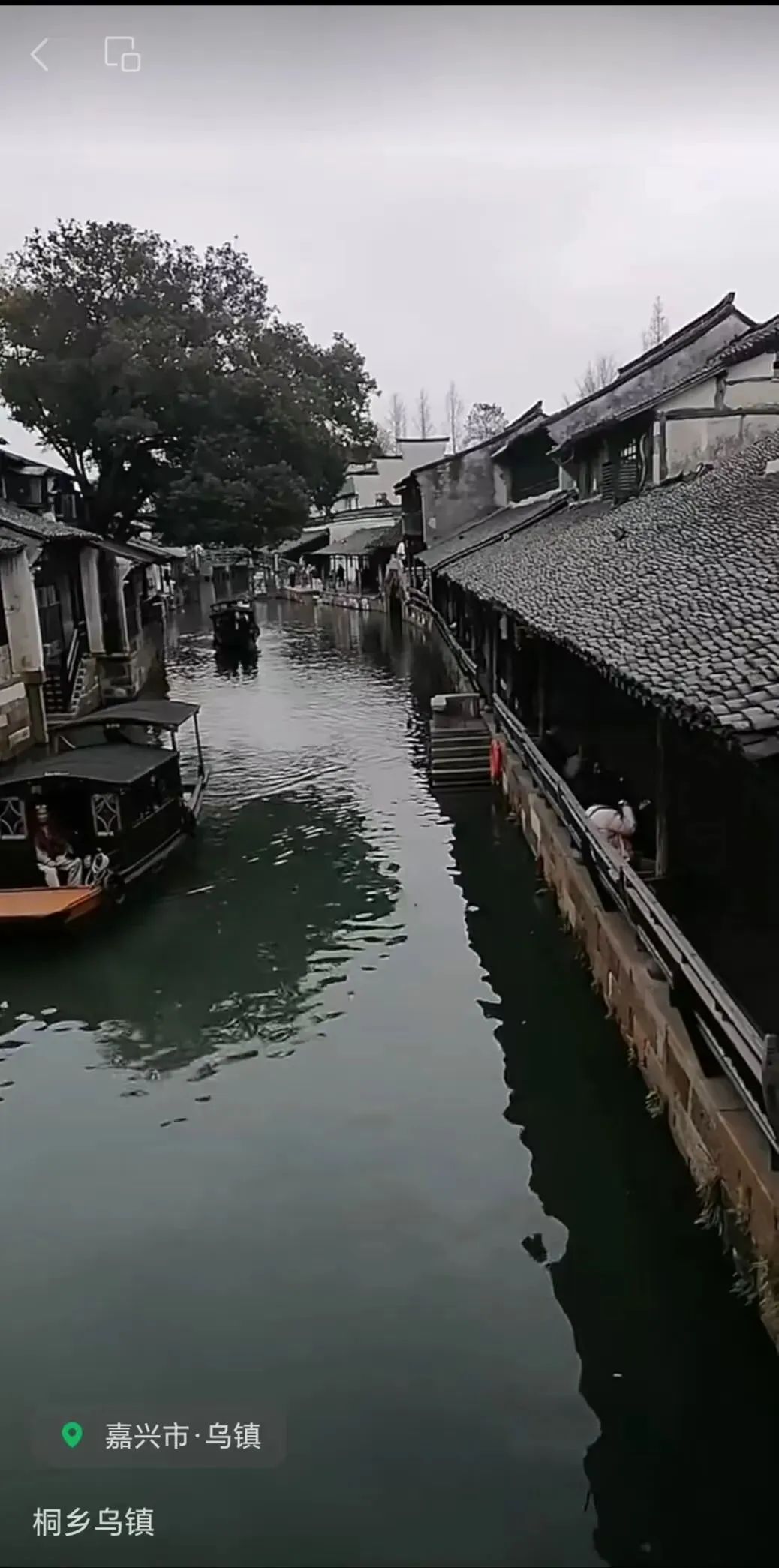 年轻心态,跟着广场舞,学歌曲《思念成灾》