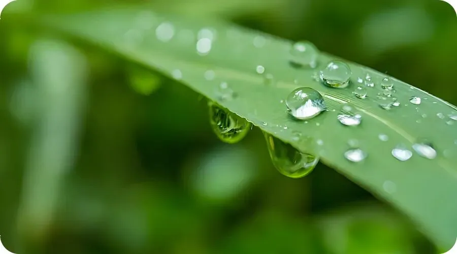 童声歌曲《小雨滴》