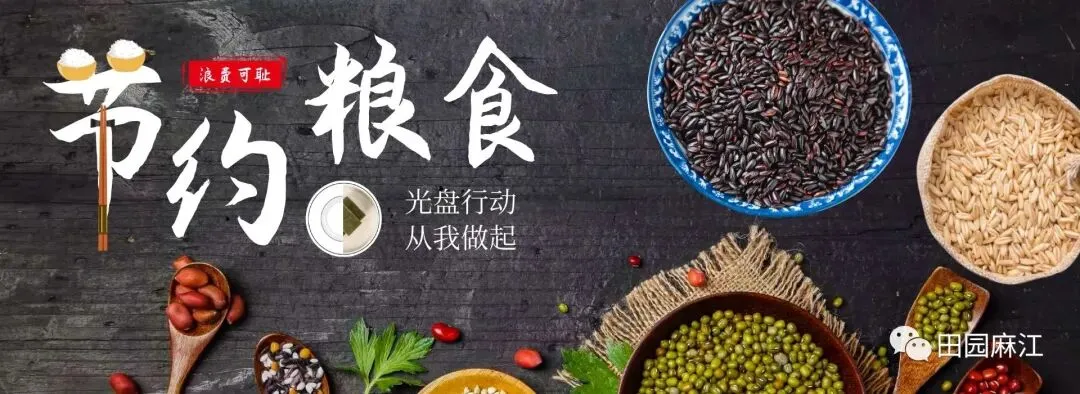 菱歌一曲踏浪来——在红船起航地感受美好中国
