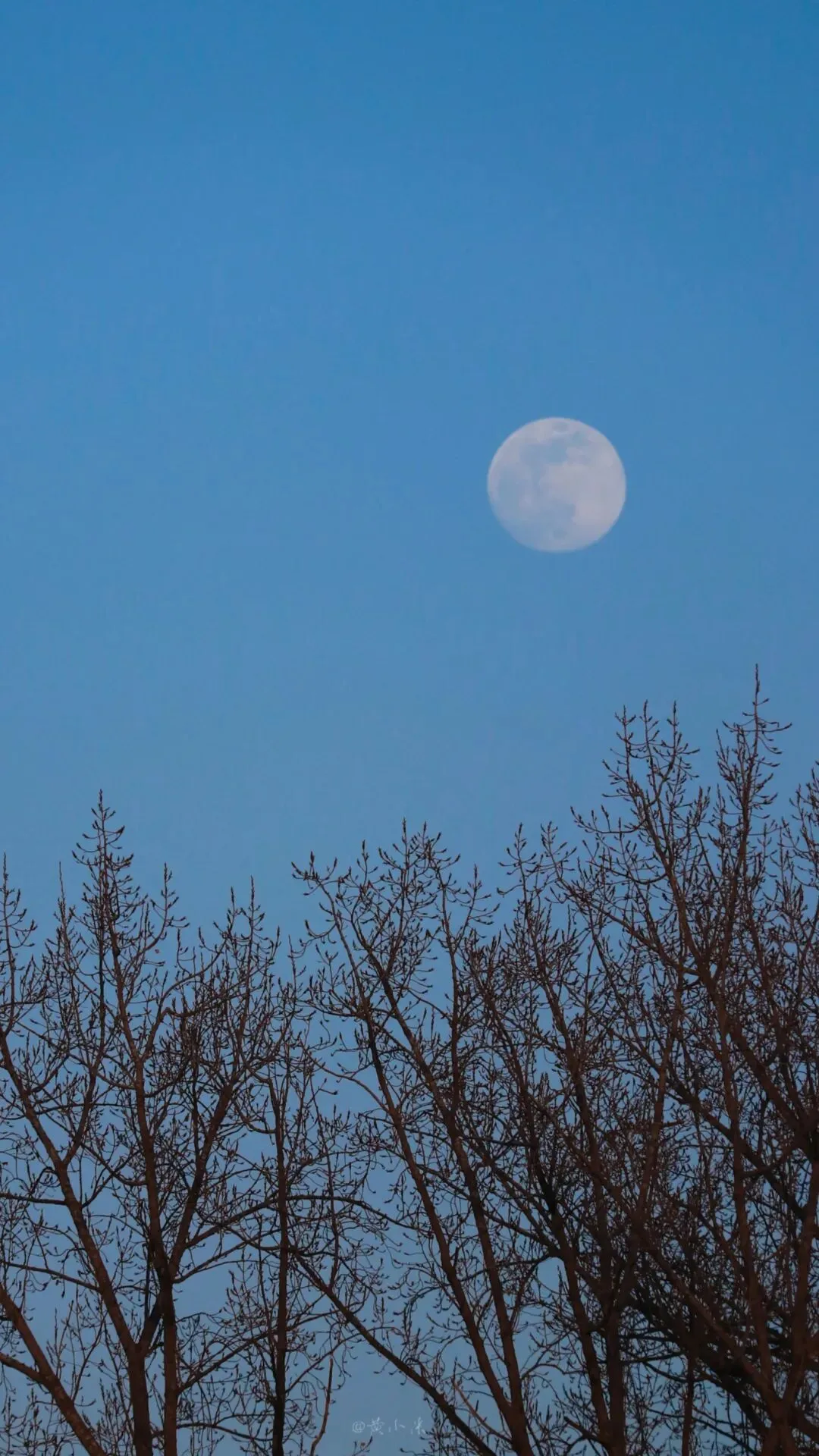 痖弦|《如歌的行板》