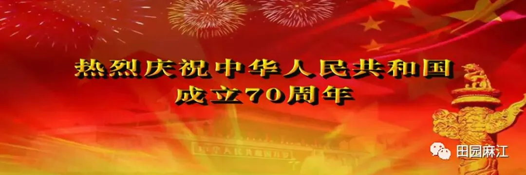 歌曲:《你养我长大,我陪你变老》