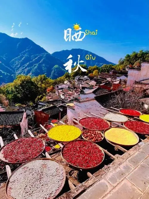 歌吧︱《来晒秋》·《想》