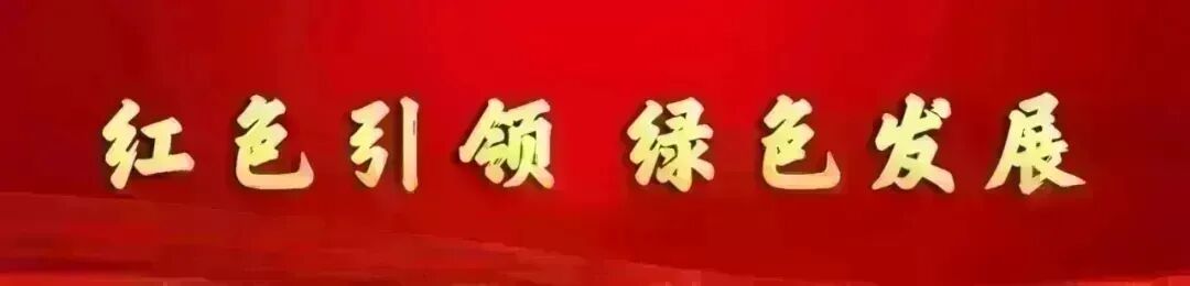 歌曲《来康保看遗鸥》