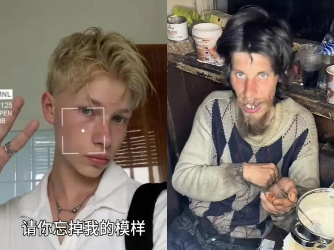 歌曲:请你忘记我的模样