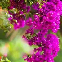 风 雨 长 歌 ——拜谒惠州罗浮山基建工程兵纪念园/ 原日成【2026•78期总第928期】