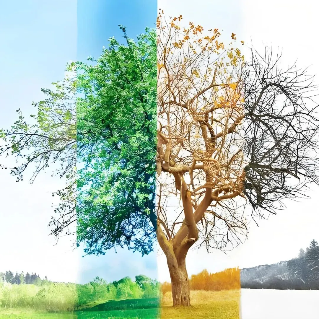 习作记录 | 四季之歌