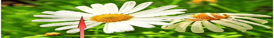 经典老歌《懂你》,致一生操劳的父母,听完泪目