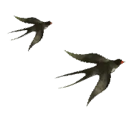 2026马年春晚最养眼歌曲《立春》古筝版——惊艳了时光,温柔了岁月(内含曲谱)