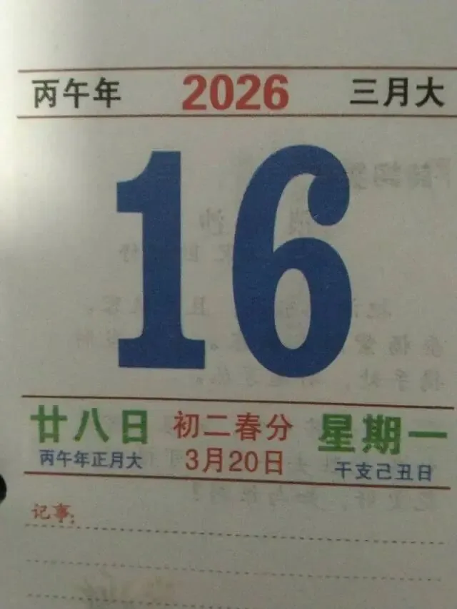 正月廿八,海阳笑歌,玉兰开花
