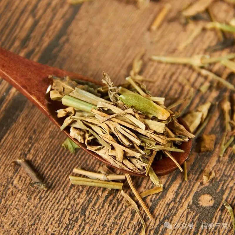 跟着药性歌括认中药_瞿麦