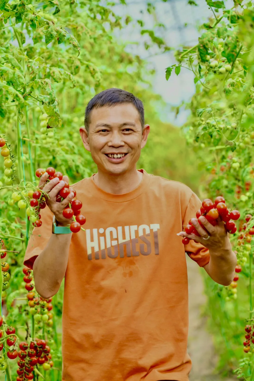 山水有诗,风物成歌——走进苍坊的舌尖画卷