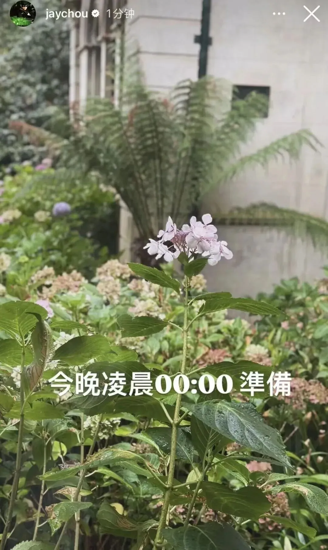 杰伦凌晨发歌,今晚别睡太死!!