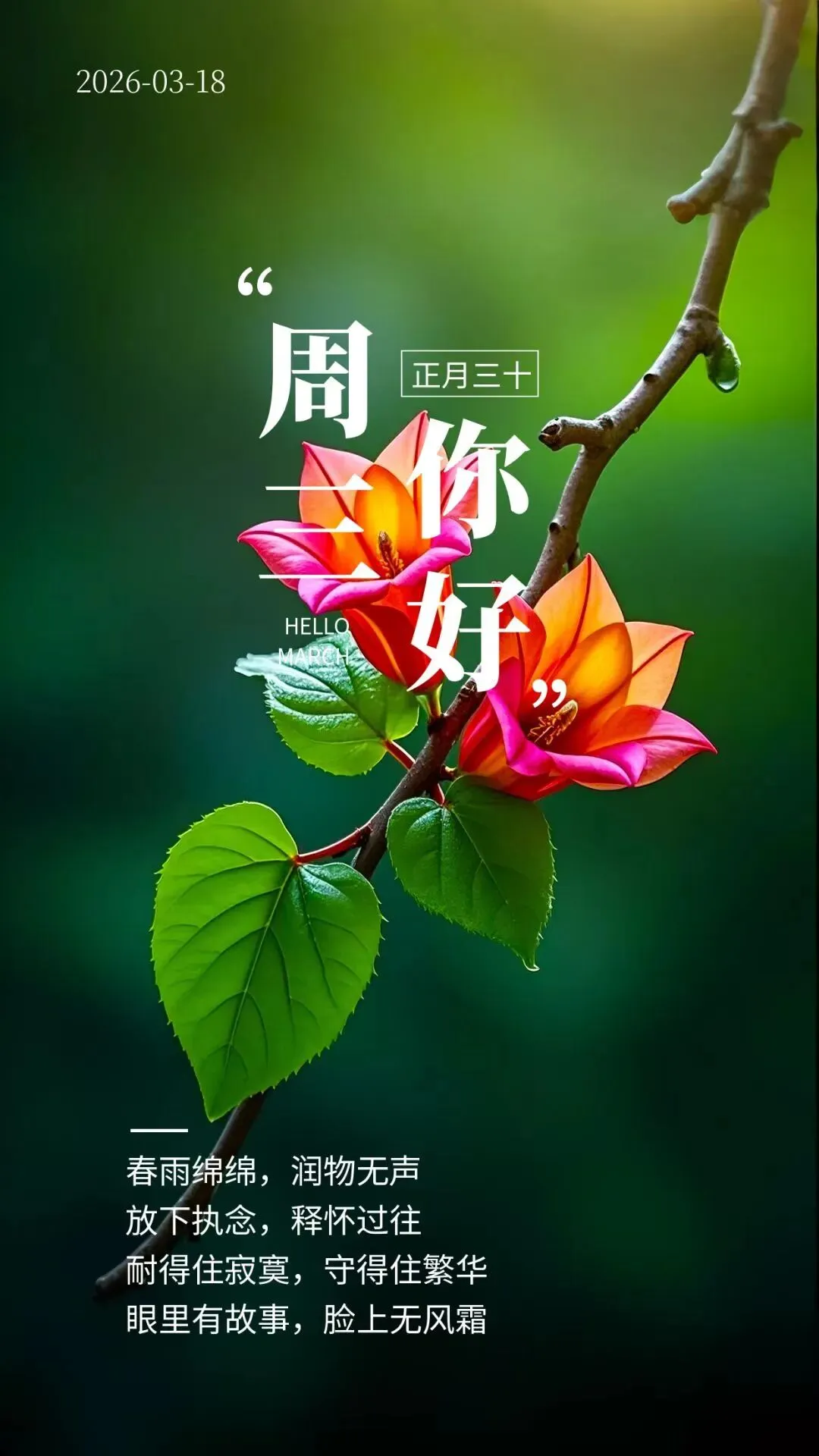 2026年3月18日听一首老歌,闻一缕花香,让生活添彩,让时光留香,愿这一季的春光,照亮你前行的路,温暖你所有的日常,一路乘风破浪——