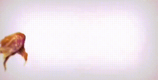 原创歌曲《尽散诚意待君来》邀您畅游“晋”美之城