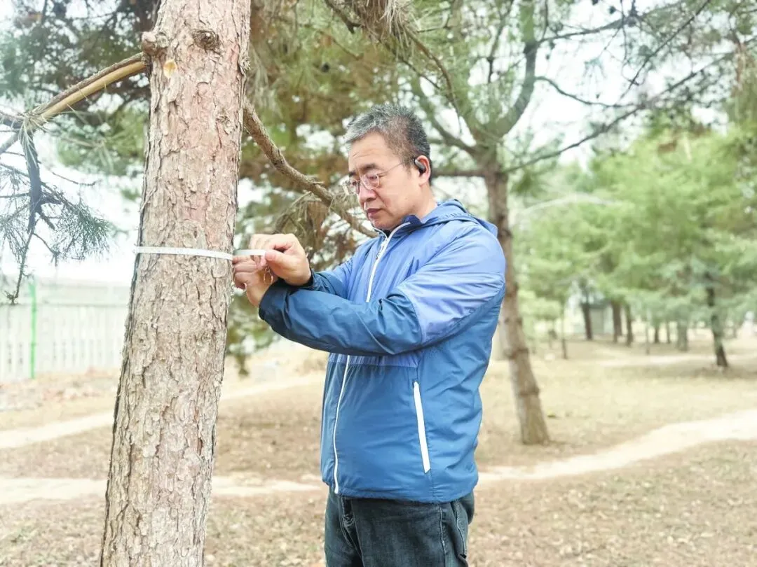 北京劳动者之歌|于凌霄:用脚步丈量万亩林海 以担当书写“绿色答卷”