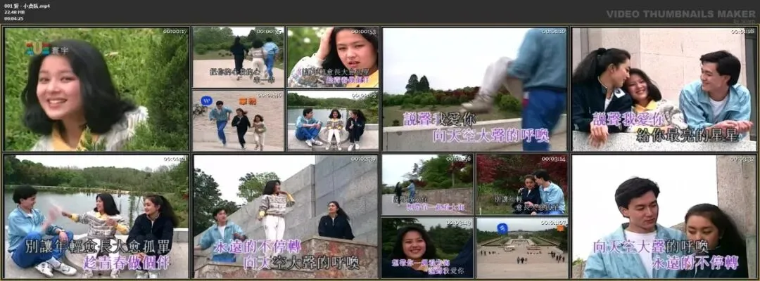 华语《经典老歌800首》A双音轨卡拉OK截图欣赏