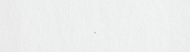 北疆歌韵㉝ | 草原夜色美