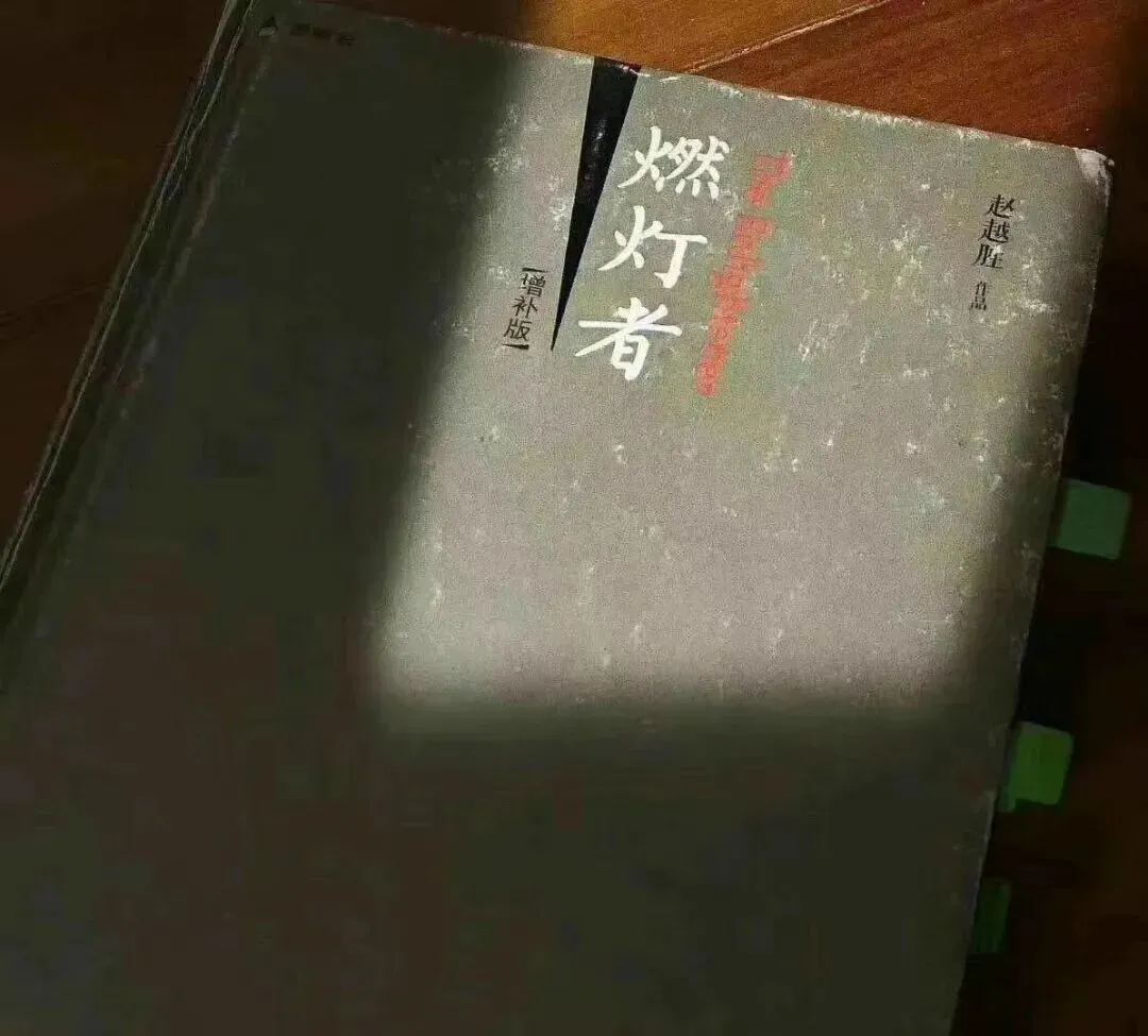 对在黑暗的荒原上载歌载舞的人来说,本书确是当头棒喝