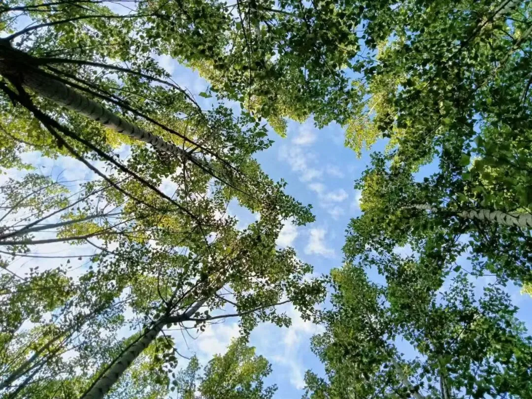 《遇上》:瑞建民谣歌,致敬穆晓禾