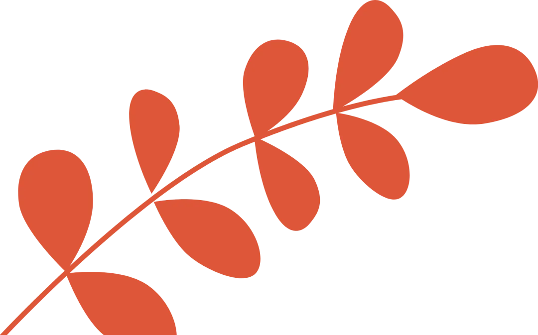 芳华如歌育桃李,匠心筑梦育新人——顺义区小学“德育校校行”走进石园小学丨活动播报