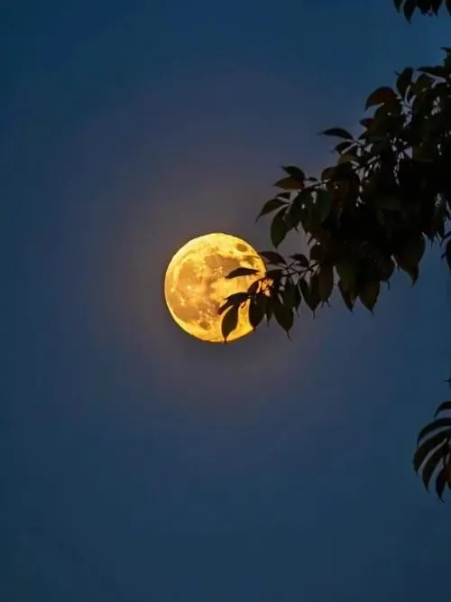 水调歌头·湄公河月