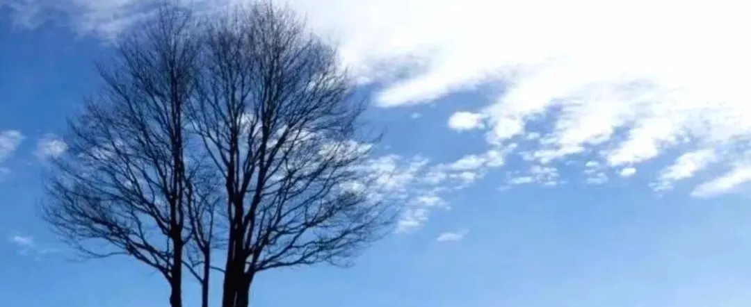 被李健的歌,瞬间治愈