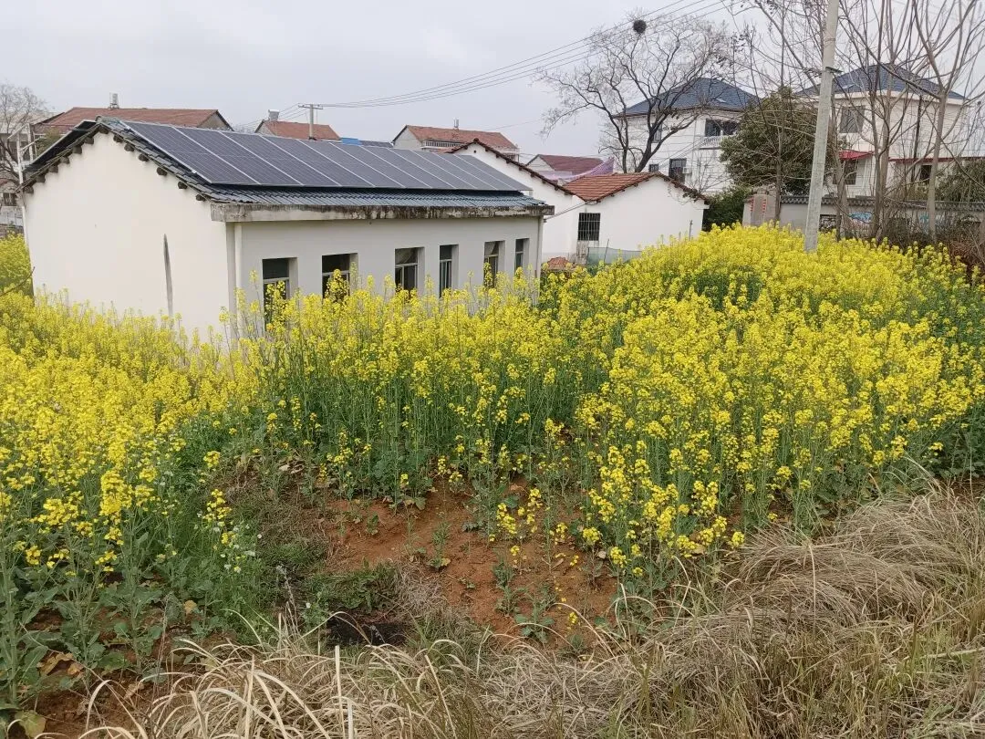 风吟歌曲|下一个春暖花开