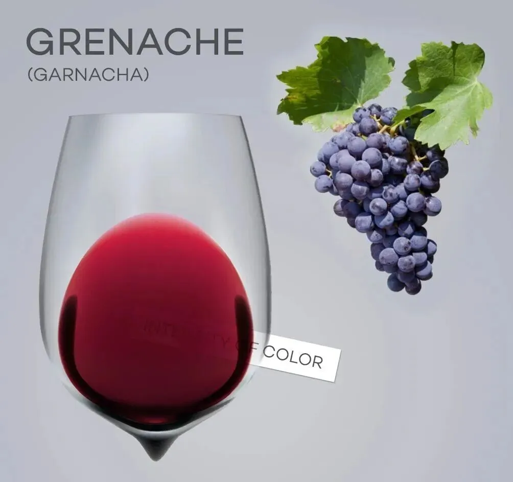 阴阳两极的歌海娜