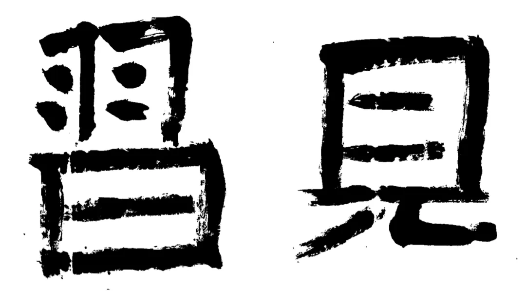 植物之歌|禅绕画主题活动