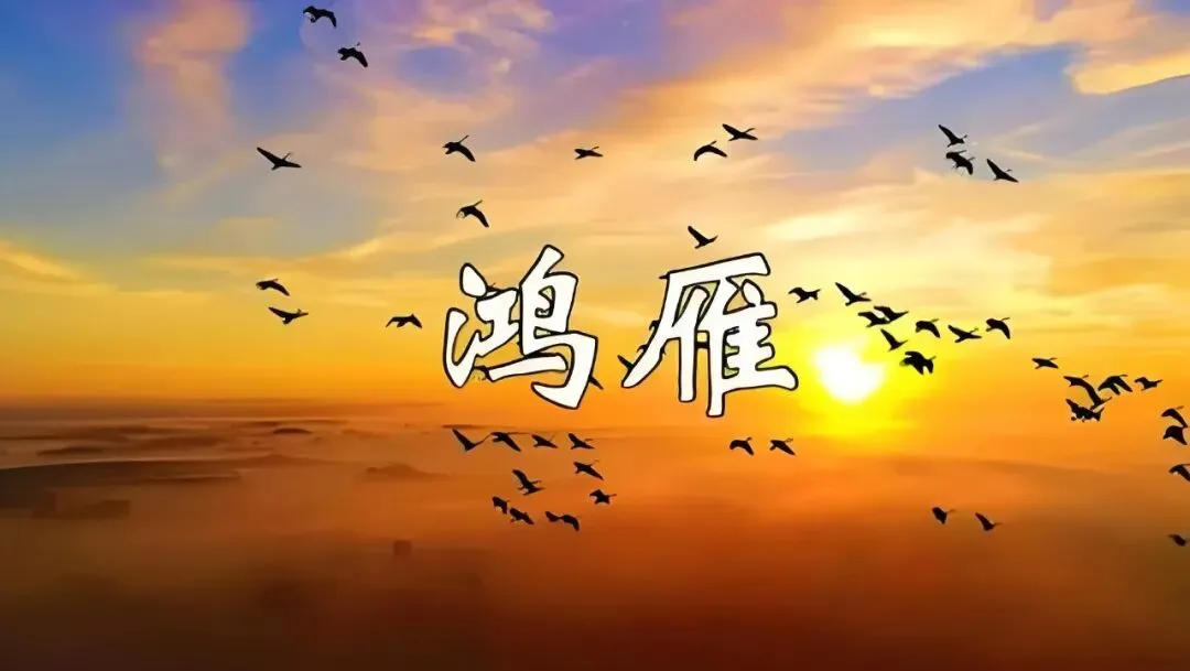 经典老歌:《鸿雁》简易版/演奏版/弹唱版/(五线谱+简谱+音频)多版本任君选择