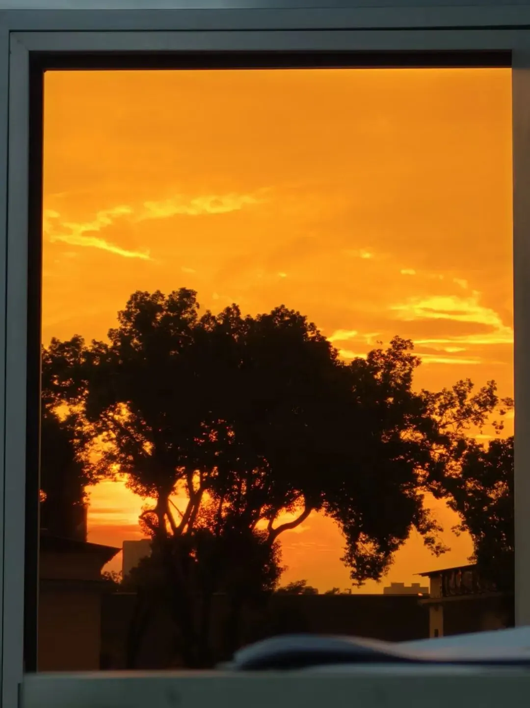 夕阳、老歌与千里外的你:成年人最奢侈的礼物