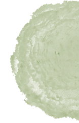 【特色项目】春日的歌 · 童年的书——济南高新区泰和幼教集团(泰和园)世界儿歌日暨早期阅读主题活动