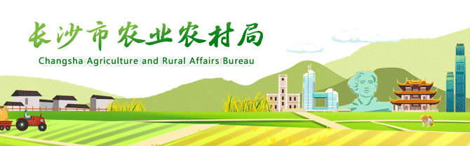 歌起青山,菌美宁乡!本周六,去青山桥赴一场乡村与美味的春日约会